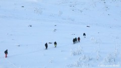 Up the hill... with snowshoes