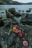 2017_07_22-JvdW5d4_1284_LoRes