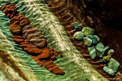 2017_07_25-JvdW5d4_2271_LoRes
