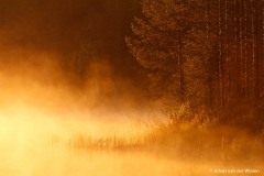 gouden uurtje; golden hour