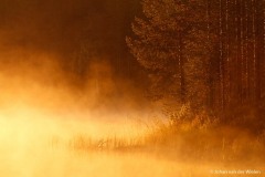 gouden uurtje; golden hour