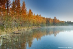 reflectie in het meer; reflection in the lake