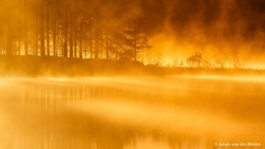 geel ochtendlicht schijnt over het mistige meer; yellow morning light shines over the misty lake