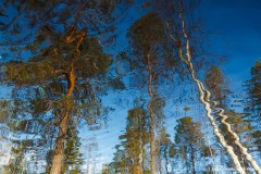 reflectie in het water; reflection in the water