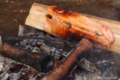 zalm roosteren aan het vuur; roasting salmon at the fire