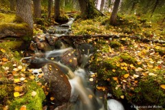 riviertje in  Julma Olkky; river in  Julma Olkky