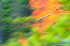 schilderachtige herfst abstractie; picturesque autumn abstraction
