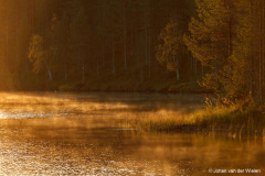 dampend meer bij zonsopkomst; misty lake at sunrise