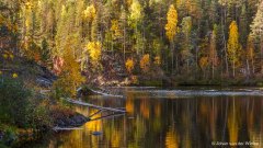 Oulanka Nationa Park in ruska