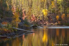 Oulanka Nationa Park in ruska