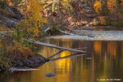 Oulanka Nationa Park in ruska