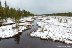 besneeuwd taiga landschap; snowy taiga landscape