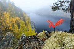 overlooking the ruska