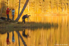 Catching the autumn light and colors