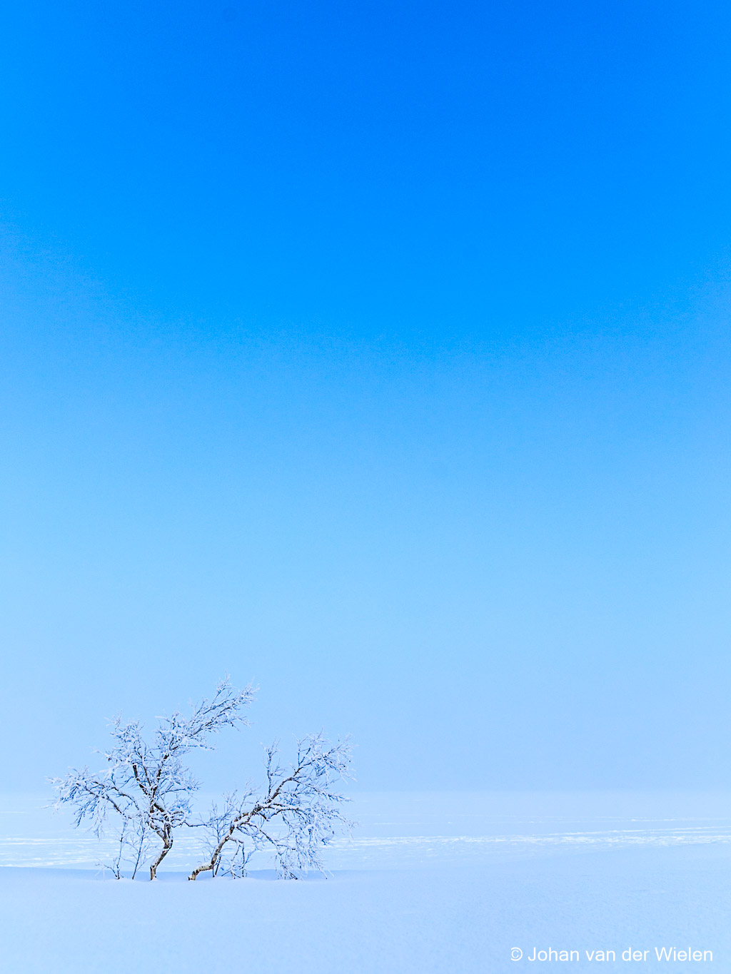 2020_01_27-JvdWielen_5D4_7154_LoRes
