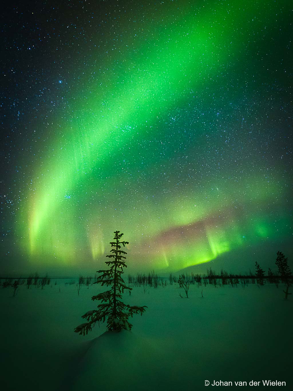 Arctic Aurora Chase 2024: II