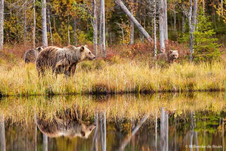 Fotoreis Finse herfst<br>door: Willemke de Bruin