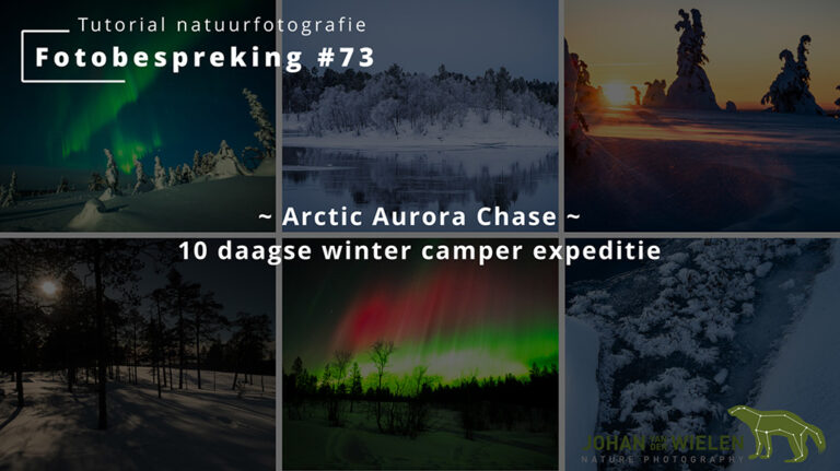 Fotobespreking #73 ~ Arctic Aurora Chase 2025 ~