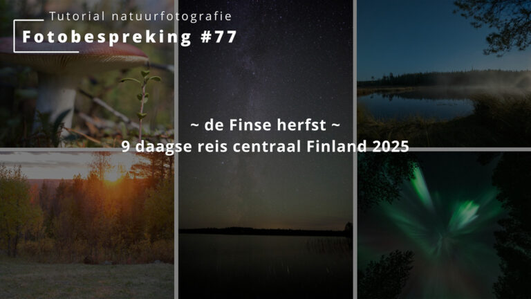 Fotobespreking #77 ~ de Finse herfst ~ 9 daagse reis centraal Finland 2025