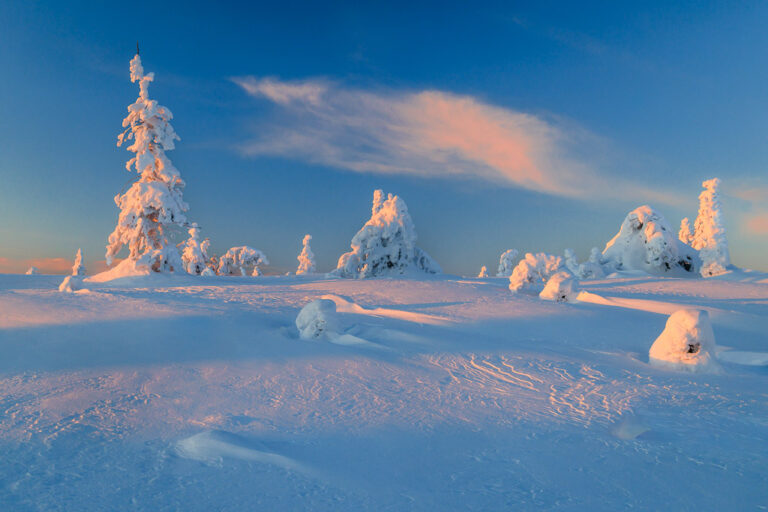 NIEUWE WINTERREIS: ~ Winters Lapland ~ 9 daagse fotoreis Noord Finland